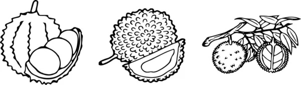 Icona Durian Sfondo Colori — Vettoriale Stock