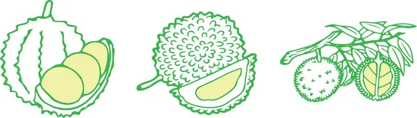 Ícone Durian Sobre Fundo Cor — Vetor de Stock