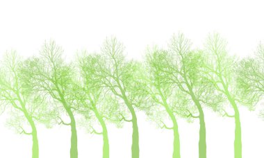 renk arka planda soyut ağaç