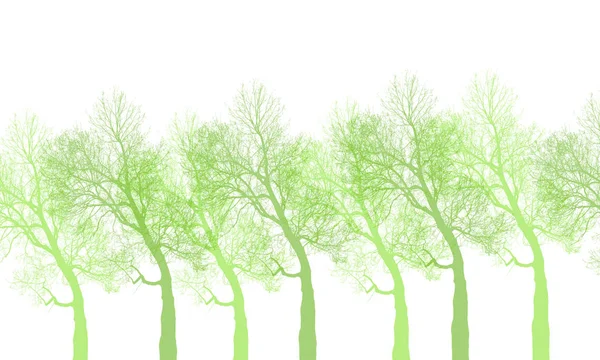 Drzewo Abstrakcyjne Tle Kolorów — Zdjęcie stockowe