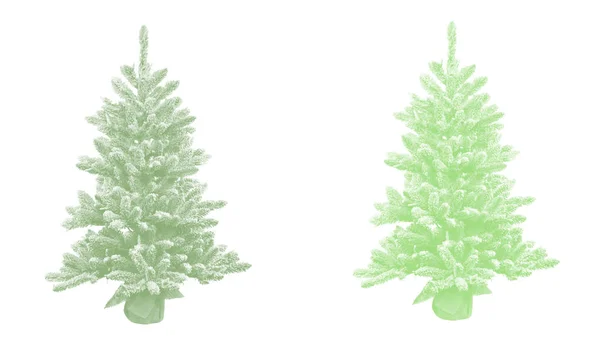 圣诞树设置隔离在白色背景 — 图库照片