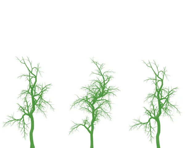 Bäume Ohne Blätter Auf Weißem Hintergrund — Stockfoto
