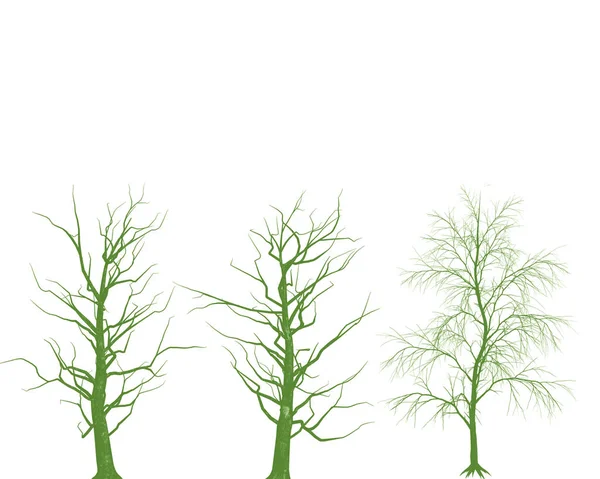 Drzewa Bez Liści Białym Tle — Zdjęcie stockowe