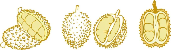 Icône Durian Sur Fond Blanc — Image vectorielle