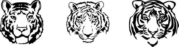 Tigris Vektor Színes Háttér — Stock Vector
