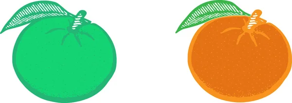 Pomarańczowa Ikona Białym Tle — Wektor stockowy