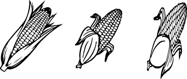 Иконка Кукурузы Фоне Цвета — стоковый вектор