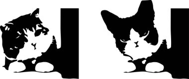 kedi vektörü arkaplanda izole edildi