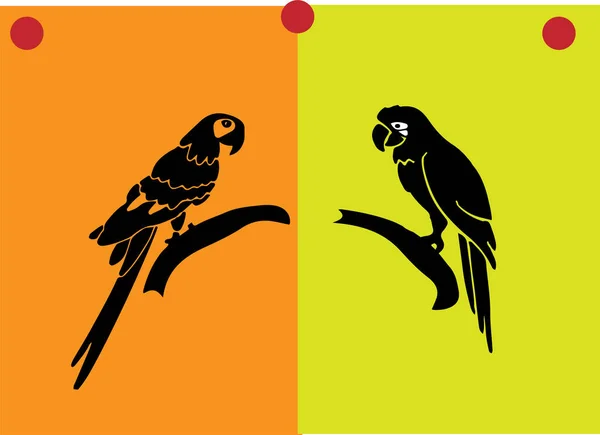背景上孤立的鹦鹉图标 — 图库矢量图片