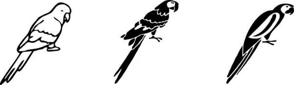 Papagei Symbol Isoliert Auf Hintergrund — Stockvektor