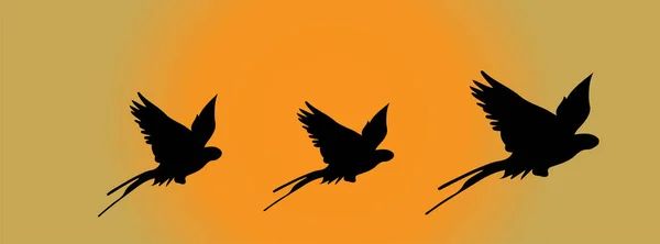 Ikona Papouška Izolované Pozadí — Stockový vektor