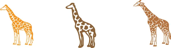 Жираф Векторні Ілюстрації Фоні — стоковий вектор
