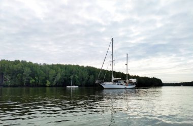 Tayland 'da gölün güzel doğası