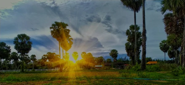 Lantbruksgård Thailand Asienodling — Stockfoto