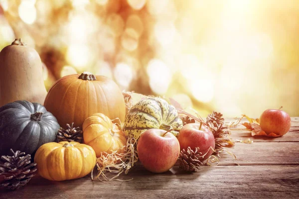 Thanksgiving Fall Autumn Greeting Background Pumpkin Table — Stock Photo, Image