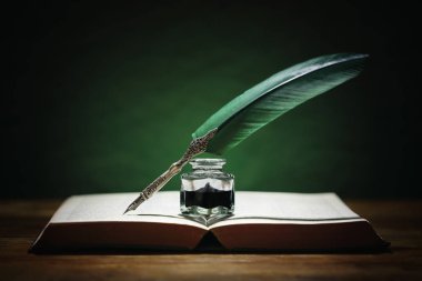tüy kalem ve edebiyat, yazı, yazar ve Tarih için yeşil renkli konsepti ile eski bir kitap üzerinde dinlenme InkWell
