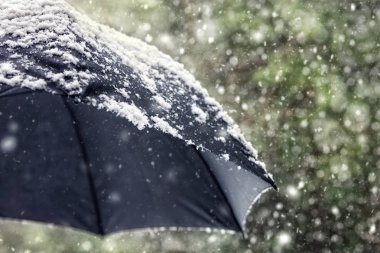 Kötü hava, kış veya kar yağıyordu blizzard için Siyah şemsiye konsept üzerine düşen kar pul