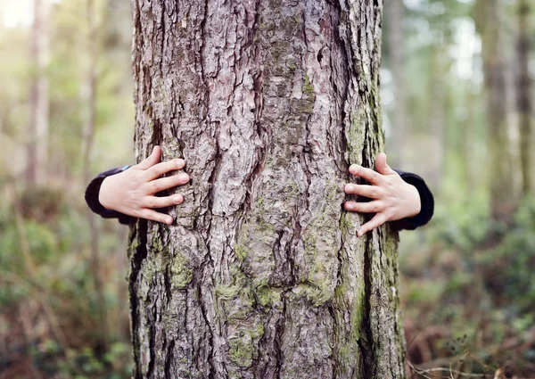 Abraço Árvore Menino Dando Uma Árvore Conceito Abraço Para Natureza — Fotografia de Stock