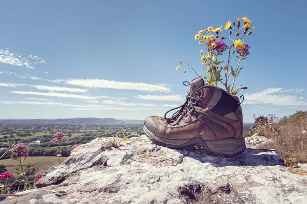 Botas Senderismo Para Excursionistas Descansando Con Flores Silvestres Sendero Montaña — Foto de Stock