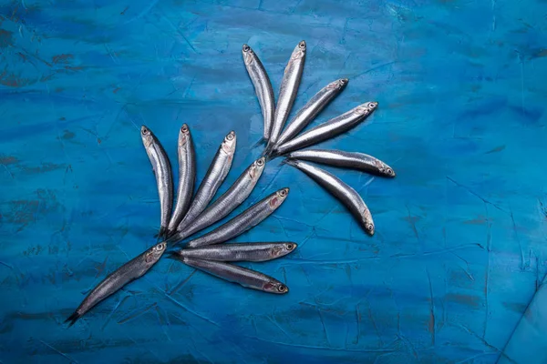 Fischmuster eine Gruppe Sardellen schwebt auf blauem Hintergrund. Fisch aus dem ionischen Meer — Stockfoto