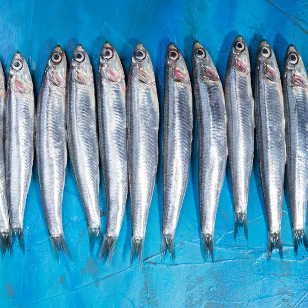Frutos do mar. Pequenos peixes marinhos, anchovas, sardinhas no fundo azul. Padrão de peixe — Fotografia de Stock