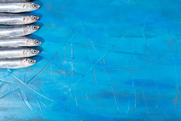 Fish pattern A group of anchovies on a blue background. Fish caught in the Ionian Sea, Italy, Apulia region, copyspace
