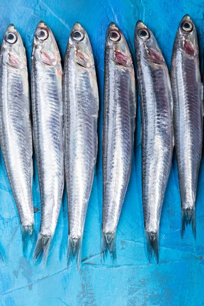 Frutos do mar. Pequenos peixes marinhos, anchovas, sardinhas no fundo azul. Padrão de peixe — Fotografia de Stock