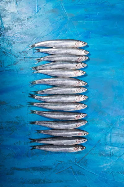 Fish pattern A group of anchovies on a blue background. Fish caught in the Ionian Sea, Italy, Apulia region