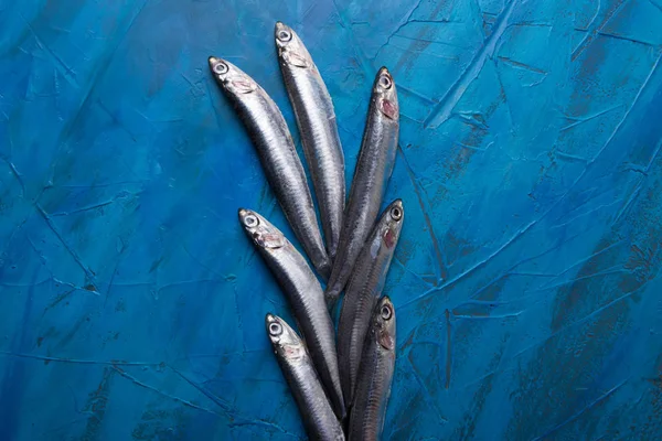Fischmuster Schwebt Eine Gruppe Sardellen Auf Blauem Hintergrund Mit Kopierraum — Stockfoto
