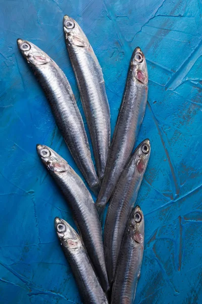 Padrão Peixe Grupo Anchovas Está Flutuando Fundo Azul Foto Vertical — Fotografia de Stock