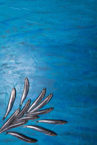 Padrão Peixe Grupo Anchovas Está Flutuando Fundo Azul Com Espaço — Fotografia de Stock