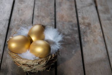 Yuvaya karanlık vintage ahşap zemin üzerine altın yumurta