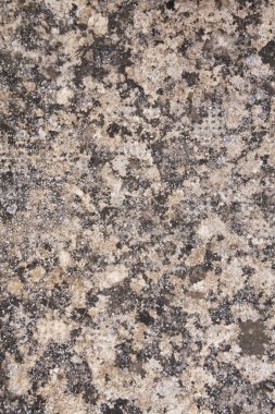 Eski taş doku. Kirli kaya yüzeyi arka planlar için liken ve yosun ile kaplı