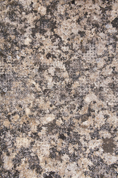 Old stone texture. Dirty rock surface covered with lichen and moss for backgrounds