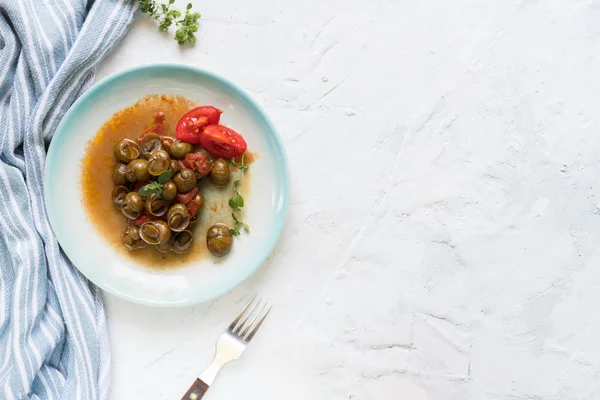 Pyszne ślimaki Apulian zwane munaceddi z sosem pomidorowym, oregano na jasnym tle, zbliżenie i przestrzeń kopiowania, Salento żywności. — Zdjęcie stockowe