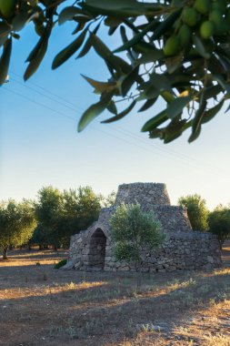 Itria Vadisi'nde Alberobello geleneksel taş trullo evin konik çatı görünümü, Puglia. Trullis güney İtalya'nın bu kısmına özgüdür