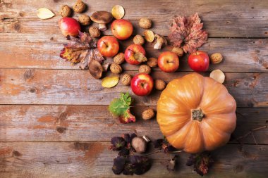 Cardoncelli mantarlı portakal kabağı, elma, ceviz ve c