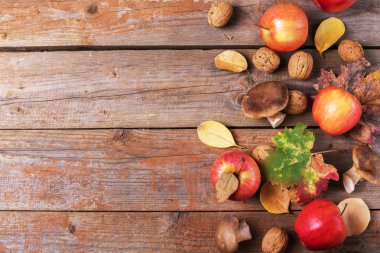 Cardoncelli mantarları, elmalar, cevizler ve renkli yapraklar