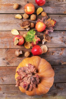 Cardoncelli mantarlı portakal kabağı, elma, ceviz ve c