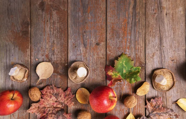 Кардонеллі гриби, яблука, волоські горіхи і барвисте листя на олі — стокове фото