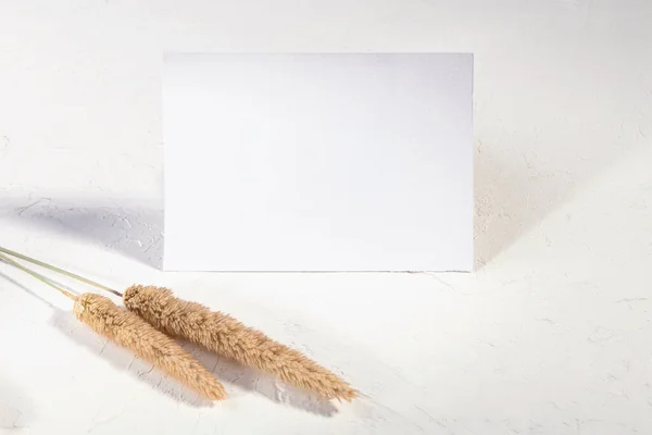 奢华的5X3 5软垫模板 空白的印有干草花和香水的信笺卡片 白色背景 婚宴邀请函的设计元素 Rsvp 谢谢卡片 — 图库照片