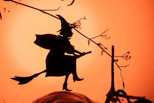 Witch Flies Sabbath Creative Trendy Halloween Background Flying Witch Silhouette — Stock Photo, Image