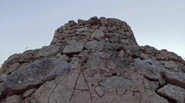 Güzel trullo zeytinliği, Manduria, Güney İtalya. Geleneksel kuru taş trullo evinin konik çatısı, Puglia. Trullis Güney İtalya 'nın bu bölgesine özgüdür..