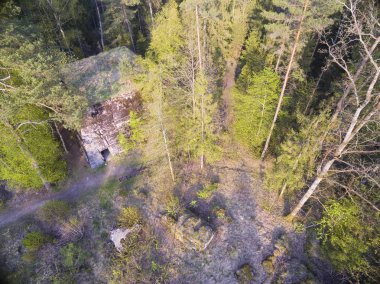 Himmler karargahı Pozezdrze, Polonya (eski Possesern, Doğu Prusya bir ormandaki gizli Hochwald yok edilen betonarme Bunker İkinci Dünya Savaşı'ndan gelen hava görünümünü aitti)