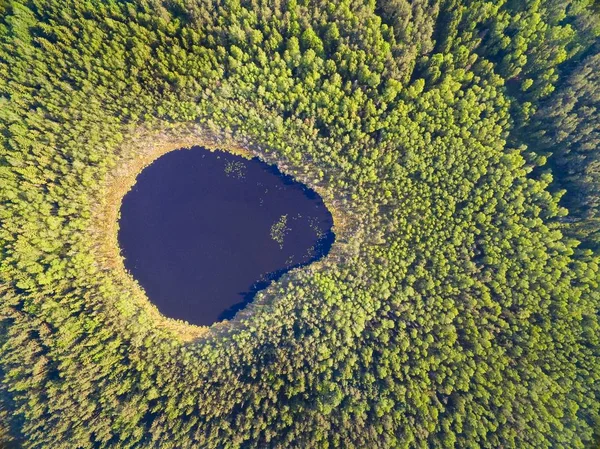 Vista Aérea Del Hermoso Paisaje Región Mazury Lago Kacze Polonia — Foto de Stock