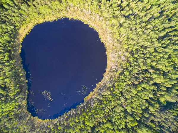 Vista Aérea Del Hermoso Paisaje Región Mazury Lago Kacze Polonia — Foto de Stock