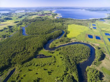 Meander of Wegorapa river flowing across wetlands, Mazury, Poland. Mamry Lake in the background clipart