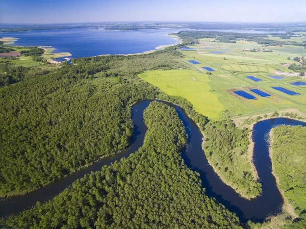 Meandro Rio Wegorapa Que Atravessa Zonas Húmidas Mazury Polônia Mamry — Fotografia de Stock