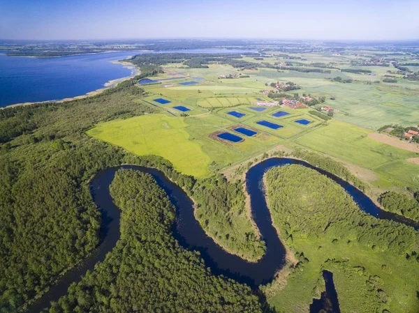 Meander Wegorapa Floden Flyder Vådområder Mazury Polen Mamry Lake Baggrunden - Stock-foto