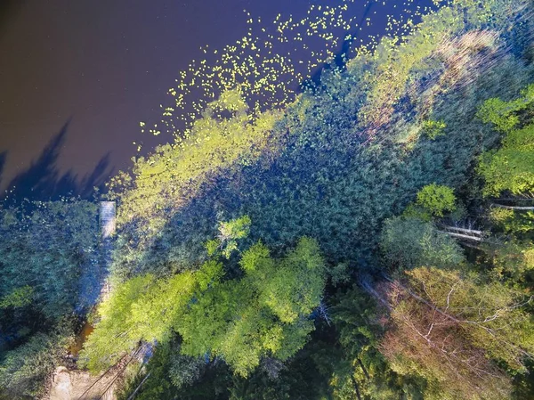 Vista Aérea Del Hermoso Paisaje Región Mazury Pequeño Lago Bosque — Foto de Stock